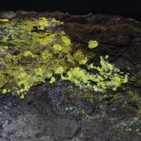 Uranopilite