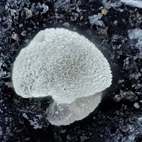 Sainfeldite