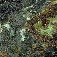 Paddlewheelite, Rabbittite, Pitchblende