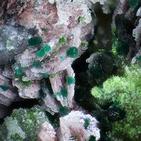 Agardite-(Ce), Cornwallite, Olivenite