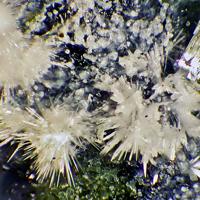 Canavesite, Inderite, Dypingite