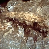 Queitite, Calcite