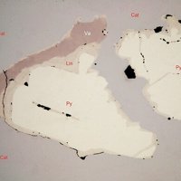 Vaesite, Linnaeite, Pyrite