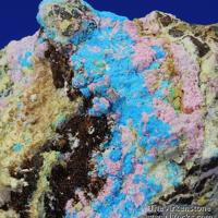 Canutite, Magnesiokoritnigite, Lavendulan