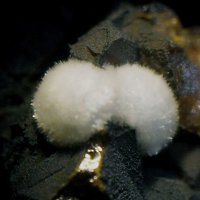 Carlhintzeite