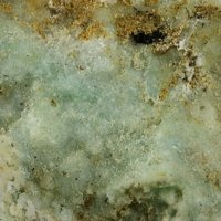 Takovite