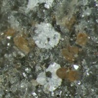 Ianbruceite