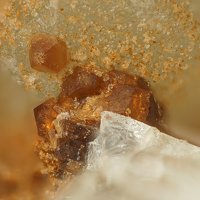 Tancaite-(Ce)