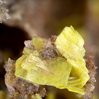 Uranocircite