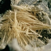 Kaliophilite