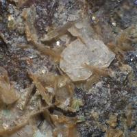 Bassetite