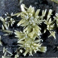 Vajdakite