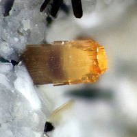 Labuntsovite-Mn, Tsepinite-Na