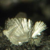 Barstowite