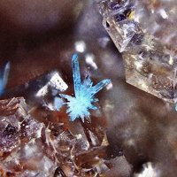 Cavansite