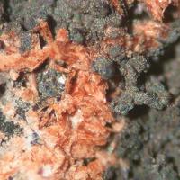 Cabalzarite