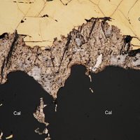 Mackinawite, Pyrrhotite, Chalcopyrite
