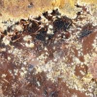 Cacoxenite
