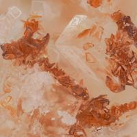 Canutite