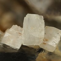 Caysichite-(Y)