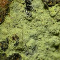 Barahonaite-(Fe)