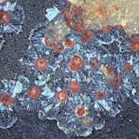 Aheylite