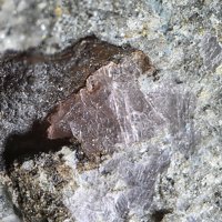 Lanthanite-(Nd)