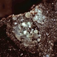 Ecdemite