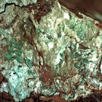 Nantokite, Cuprite, Paratacamite