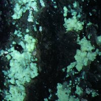 Magadiite, Microcline