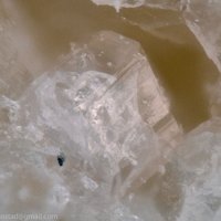 Cayalsite-(Y)-1O, Yttrofluorite