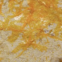 Uranopilite
