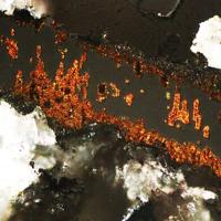 Bambollaite, Rickardite, Gold