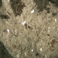 Ravatite