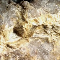 Carpholite