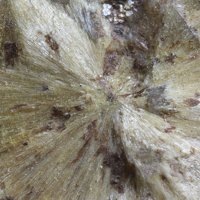 Carpholite