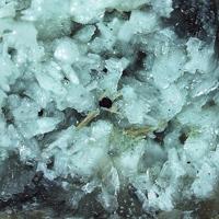 Carbocernaite