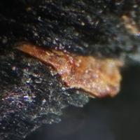 Aeschynite-(Nd)