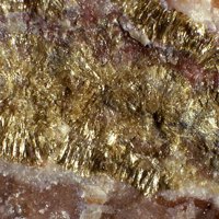 Cavoite