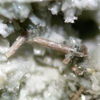 Carbocernaite