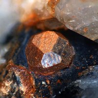 Dalyite