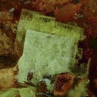 Uranospinite