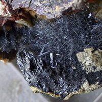 Dadsonite, Zinkenite, Siderite