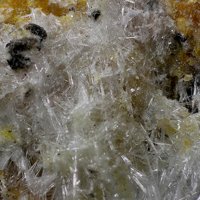 Larsenite