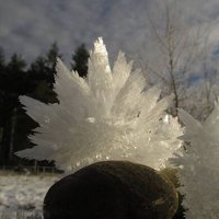 Ice
