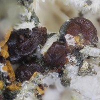 Earlshannonite, Jahnsite-(CaMnMn), Strunzite