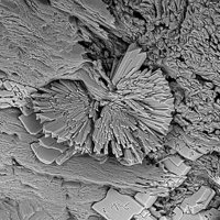 Earlshannonite