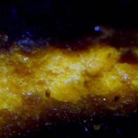Agrinierite