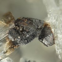 Rambergite, Tremolite