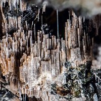 Kaliophilite